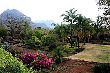 GardenMountain