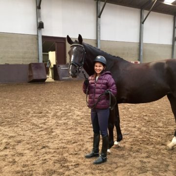 Learning to Ride the Ox—Or the Horse!
