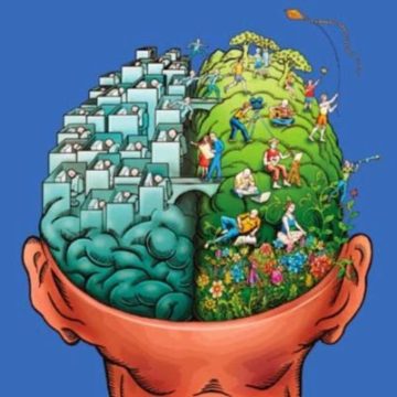 Beliefs and Brains