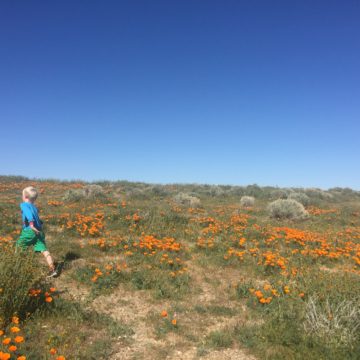 Walking the Eightfold Path