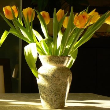 Flowers Fall
